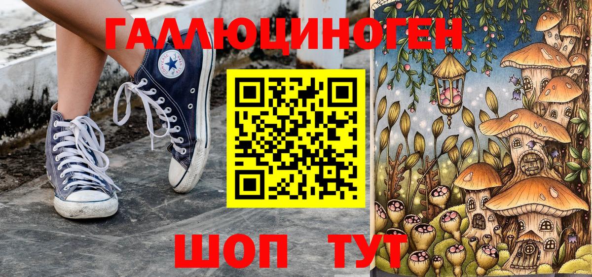 Галлюциногенные грибы мухоморы Лесной
